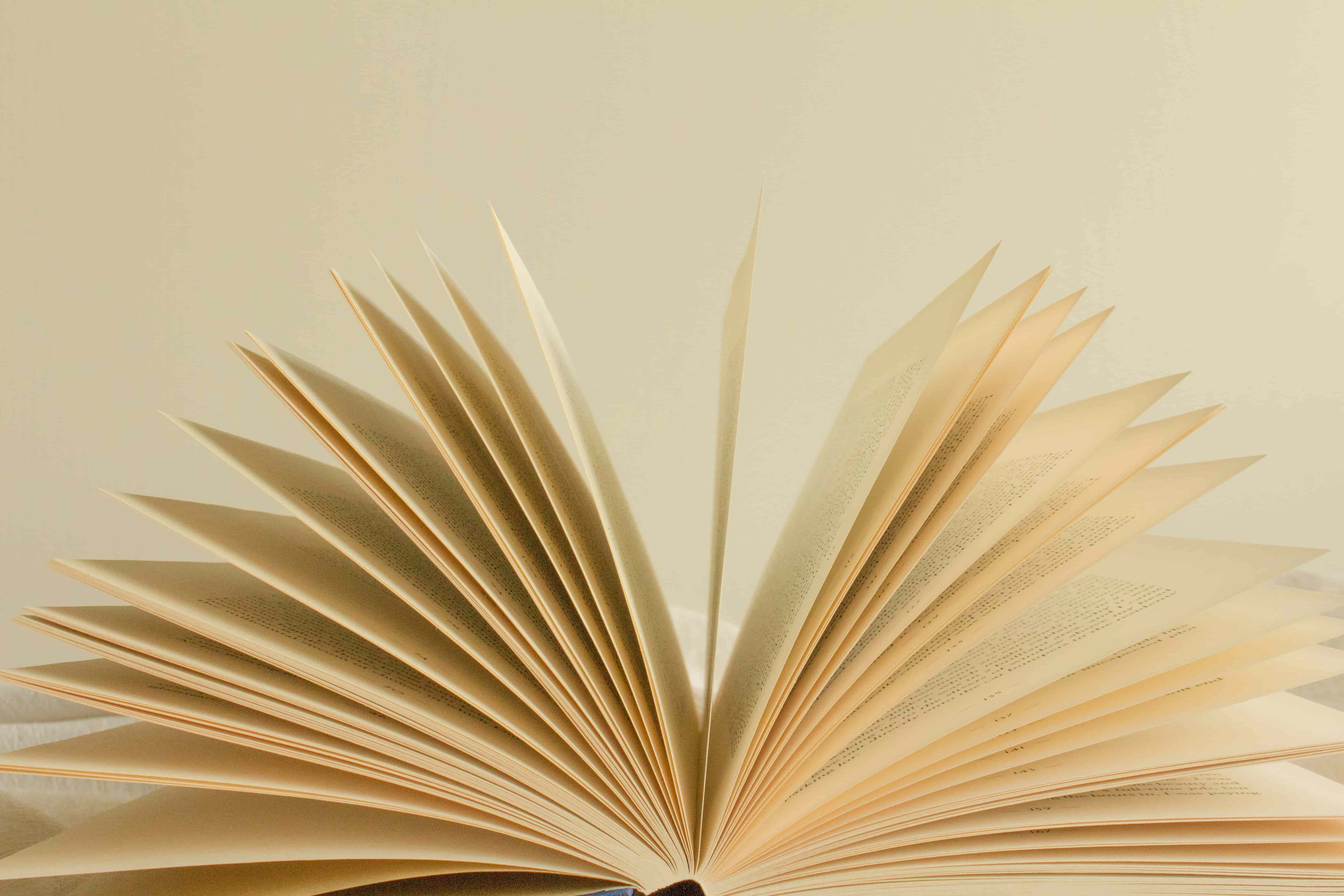 ALT general imagen 5 PLANTSEO